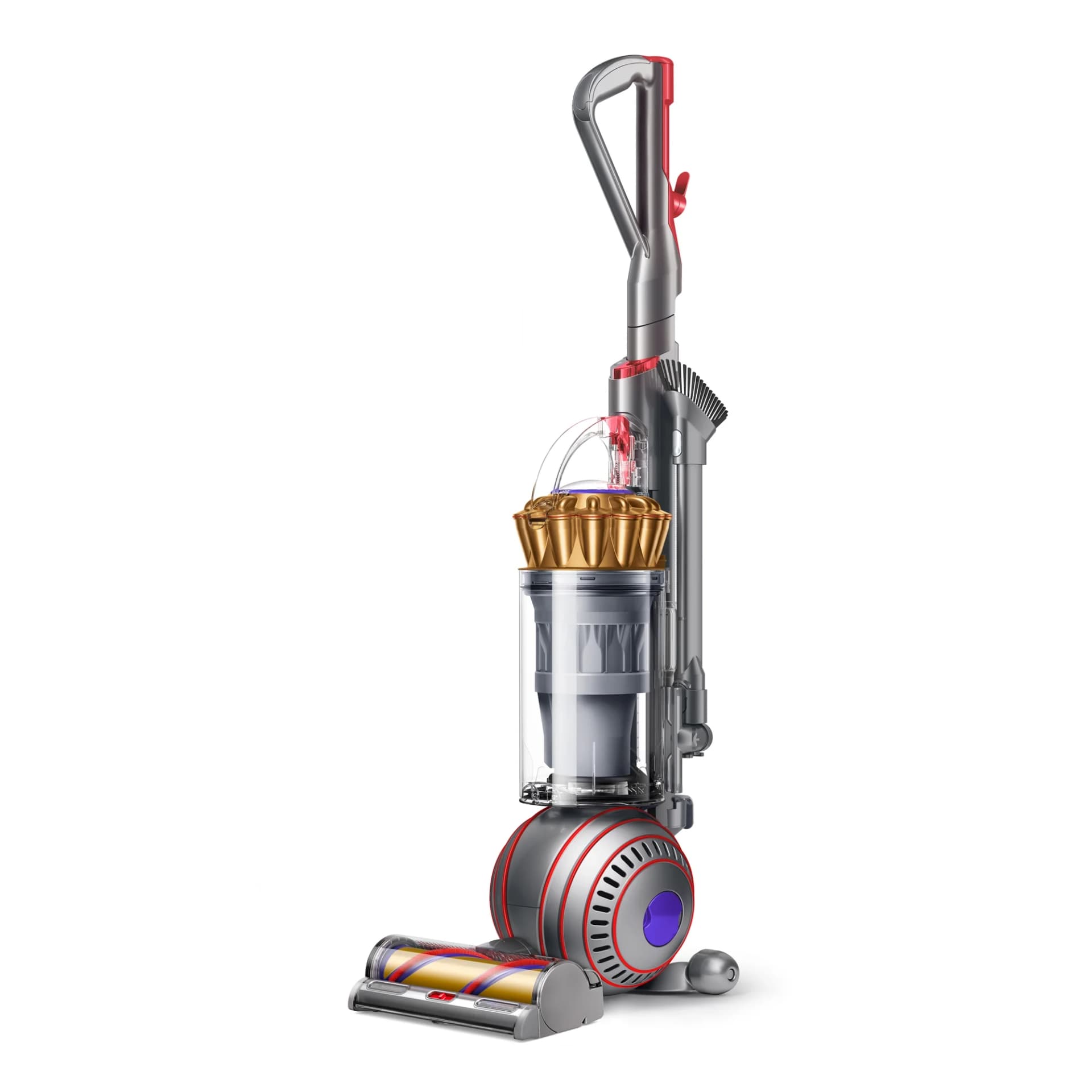 Dyson Ball Animal Complete