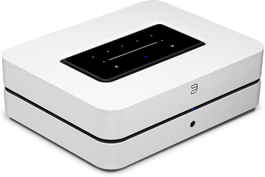 Bluesound POWERNODE
