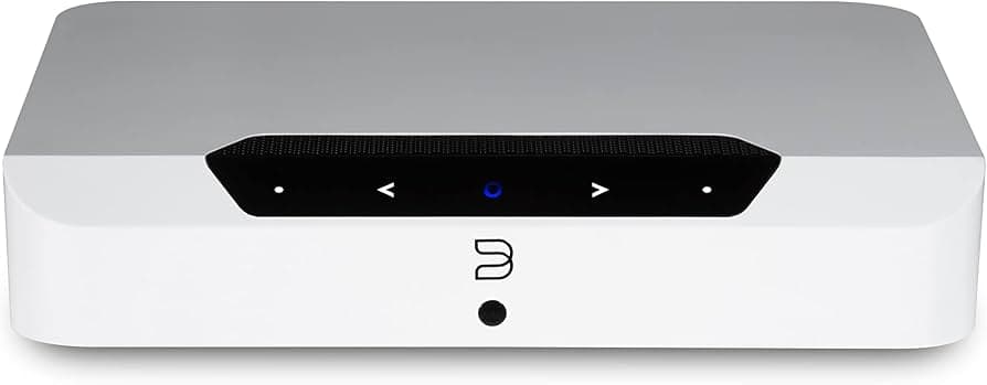 Bluesound POWERNODE EDGE