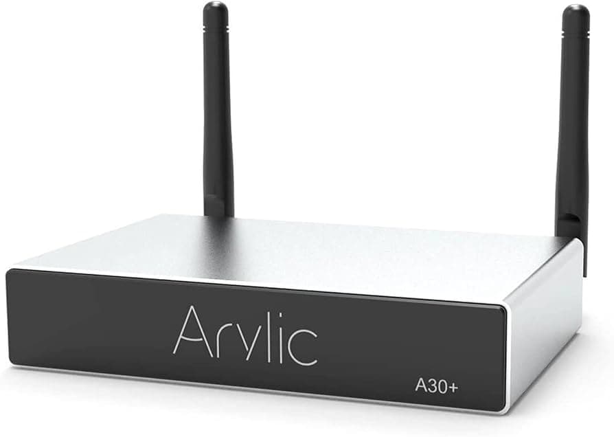 Arylic A30+