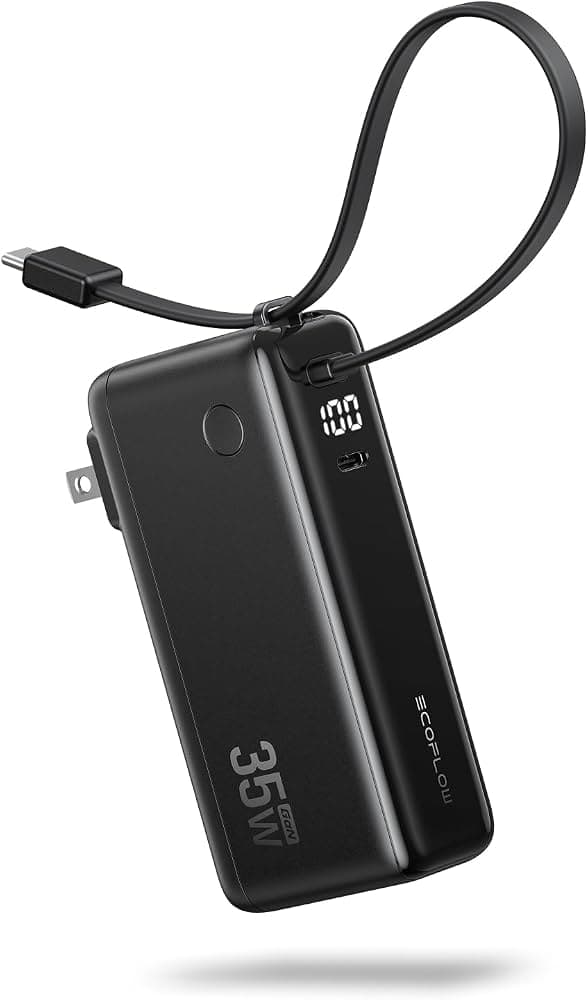 EcoFlow RAPID