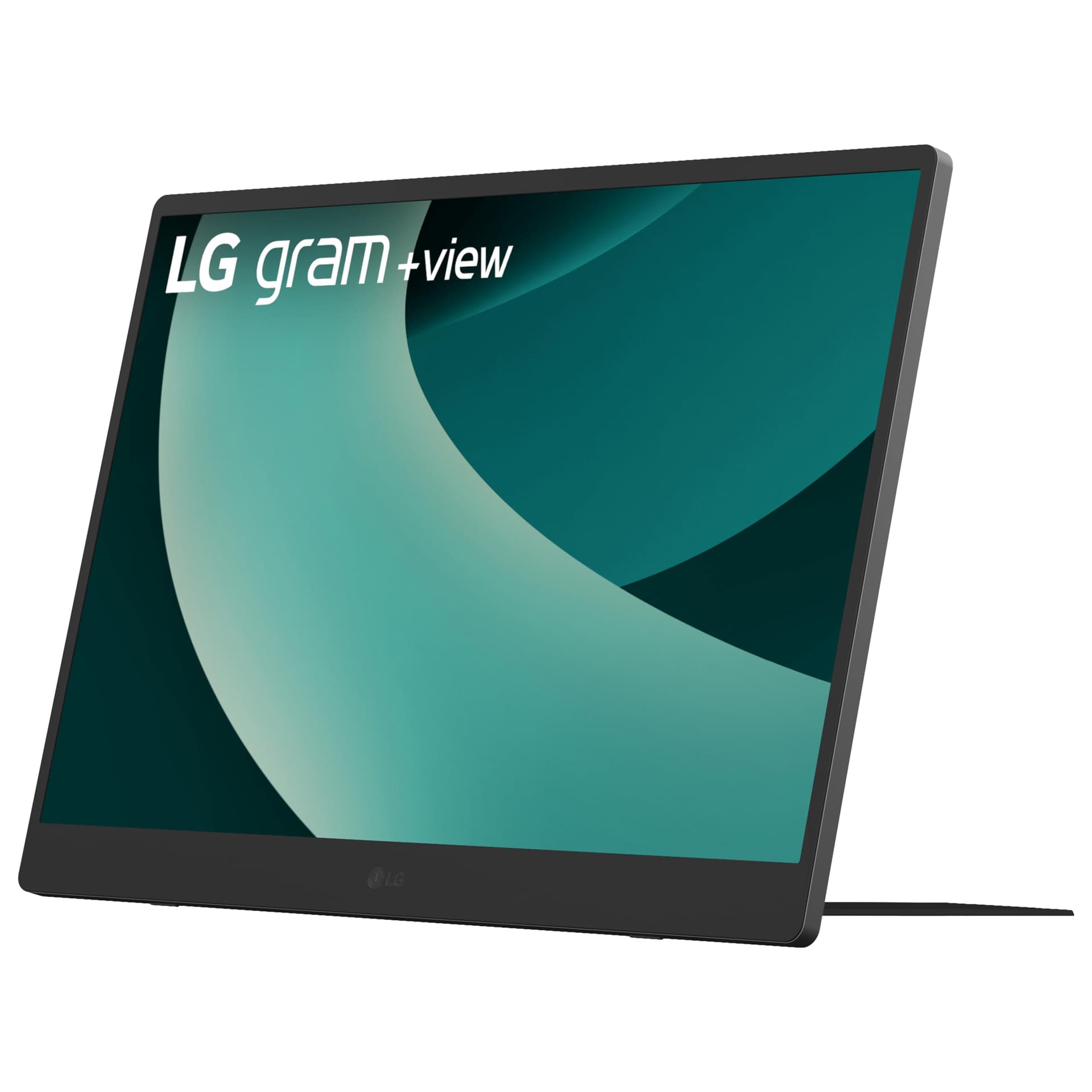 LG +view