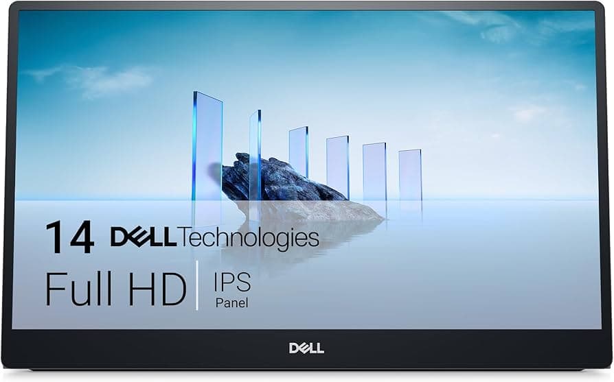 Dell P1424H