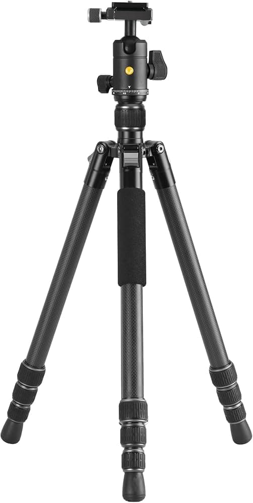 Vanguard Vesta