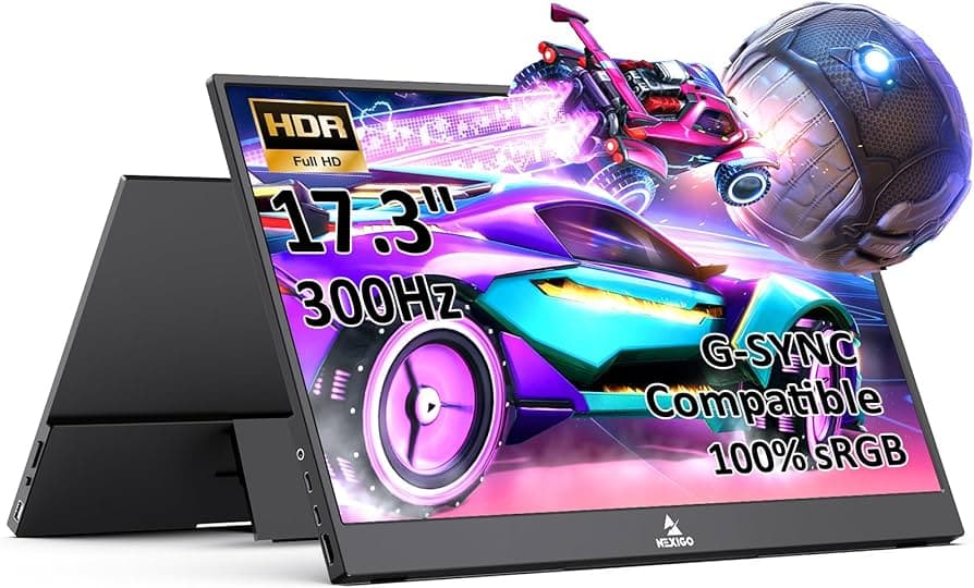 NexiGo NG17FGQ 17.3 inch 300Hz Portable Monitor
