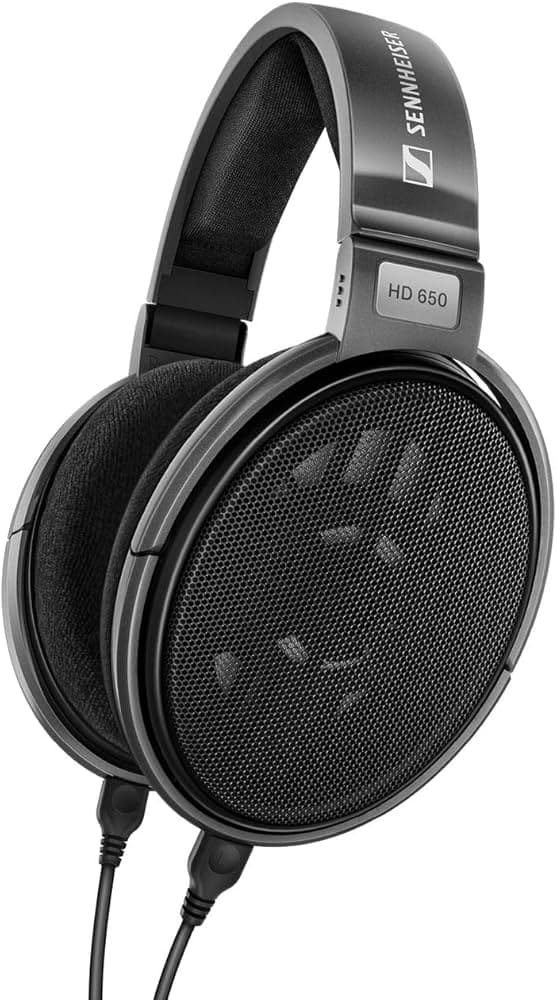 Sennheiser HD 650 Headphones
