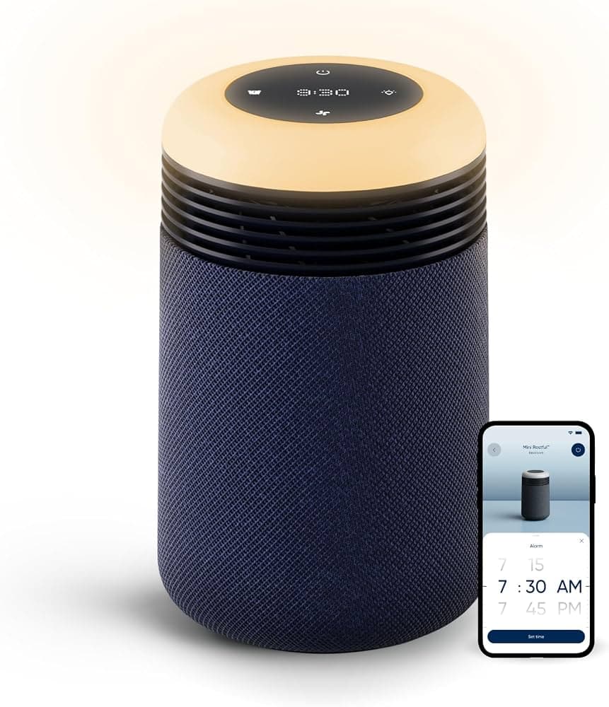 Blueair Mini