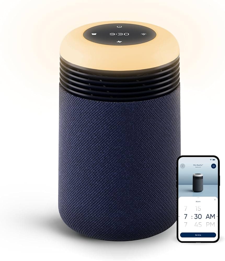 Blueair Mini