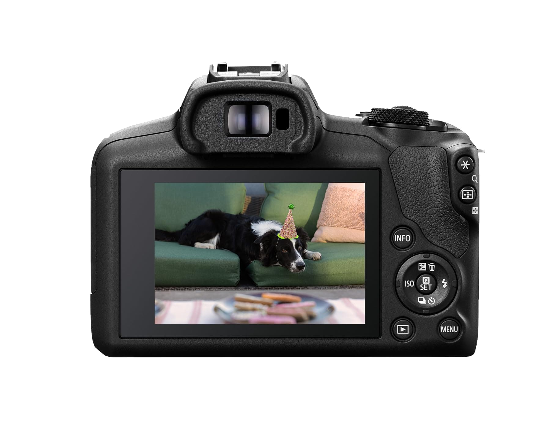 Canon R100