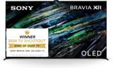 Sony A95L