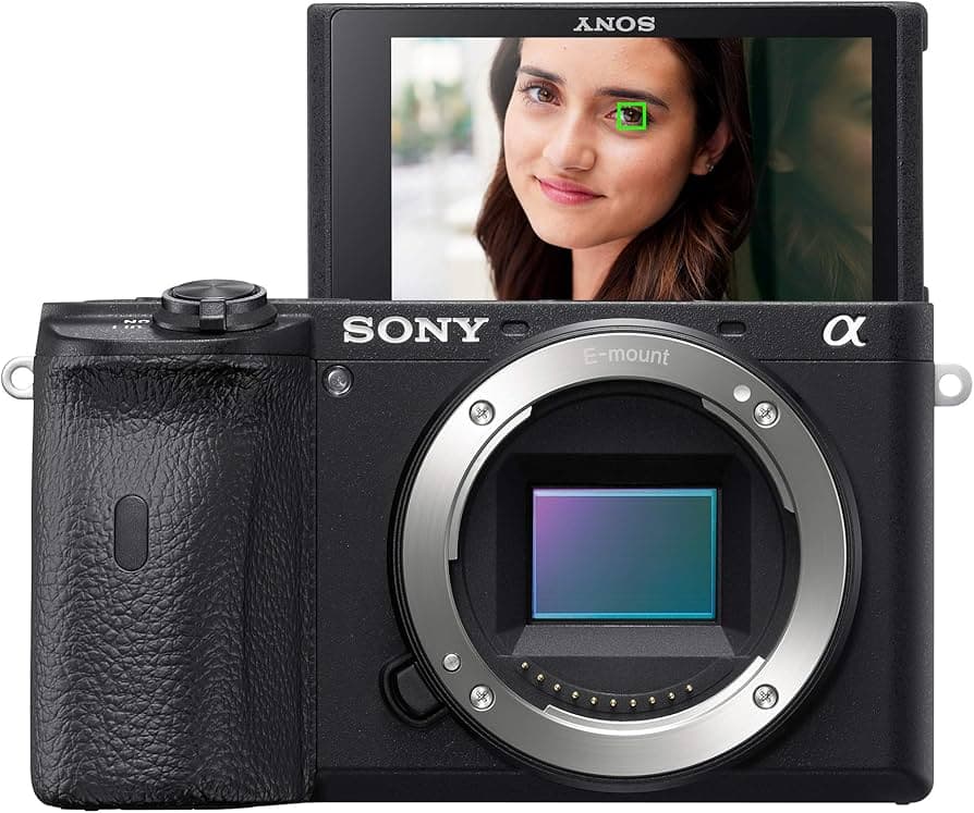 Sony A6600